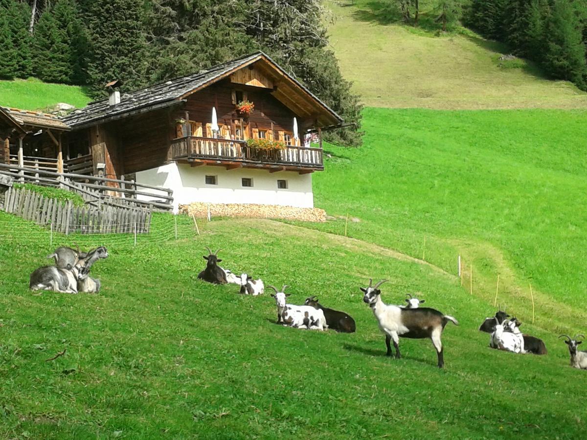 Hotel Poernbacher Olang Zewnętrze zdjęcie